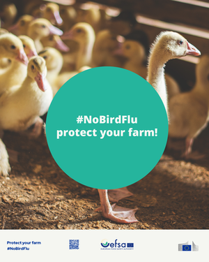 NoBirdFlu - информационна кампания на ЕОБХ 